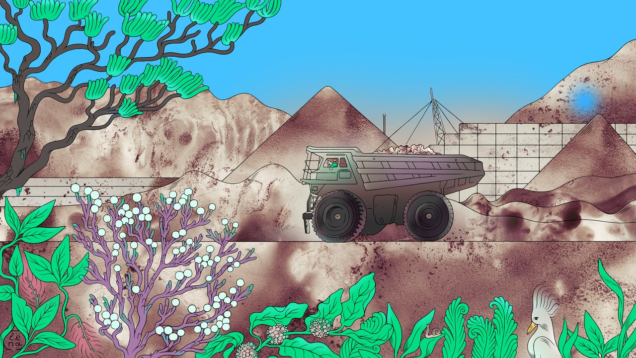 environmentalism-paradox-island