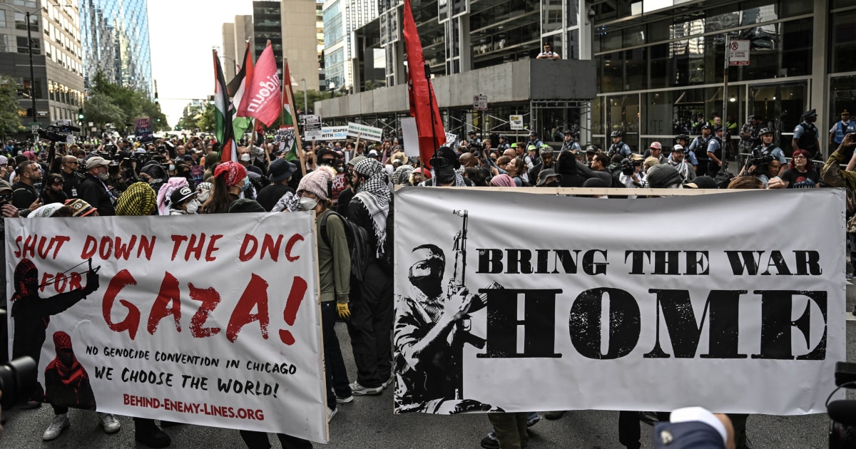 unpacking-trump-administration-pro-palestinian-protests