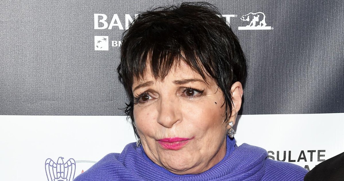 liza-minnelli-regret-children