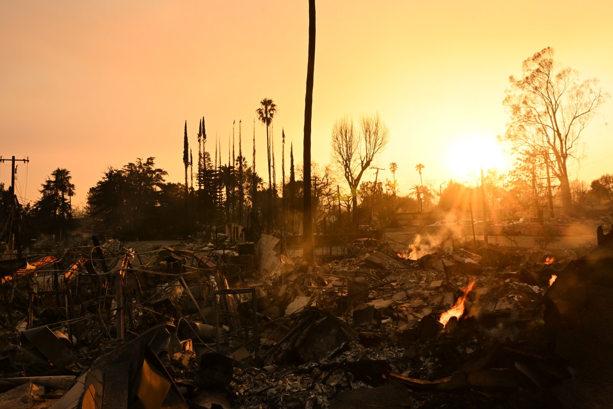 prince-harry-wildfires-support