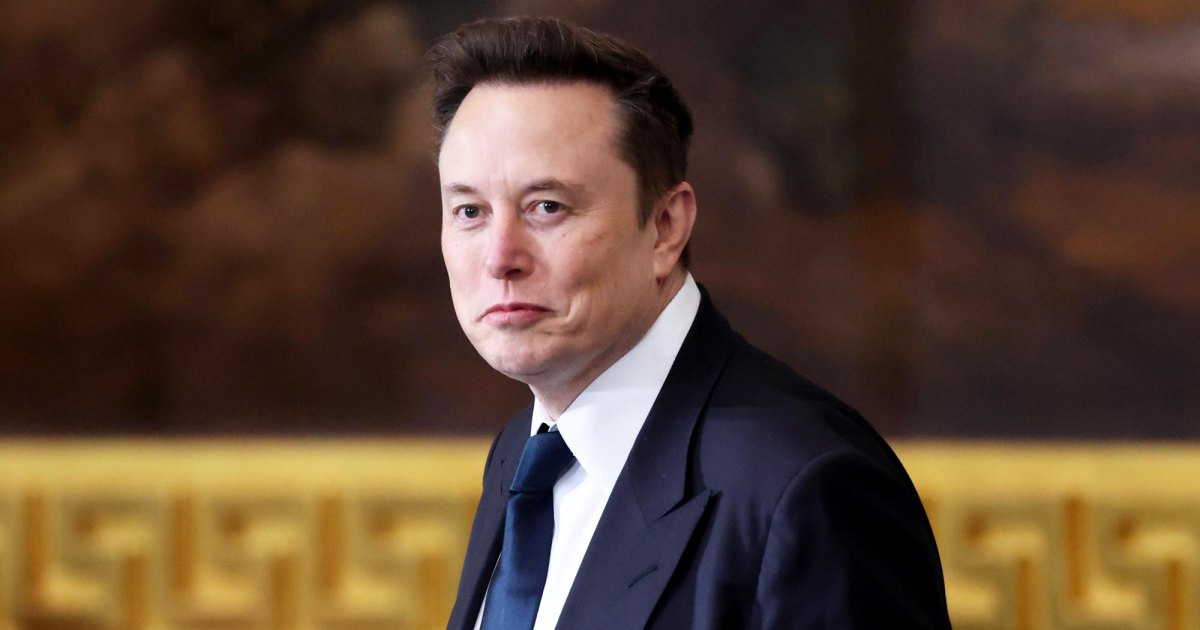 ashley-st-clair-custody-battle