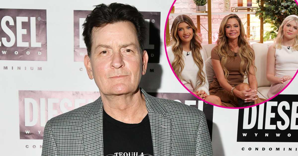 denise-richards-charlie-sheen-relationship