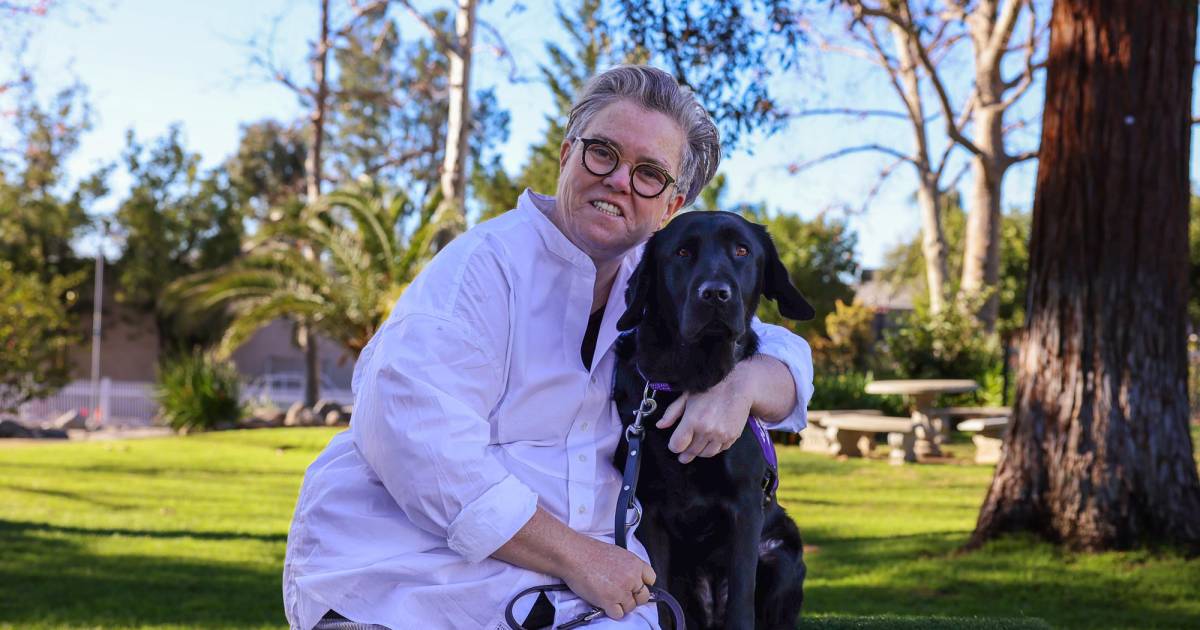 rosie-odonnell-ireland-move