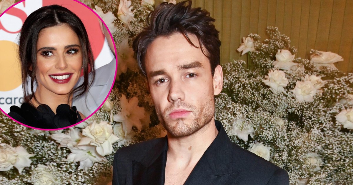 liam-payne-estate-cheryl-cole