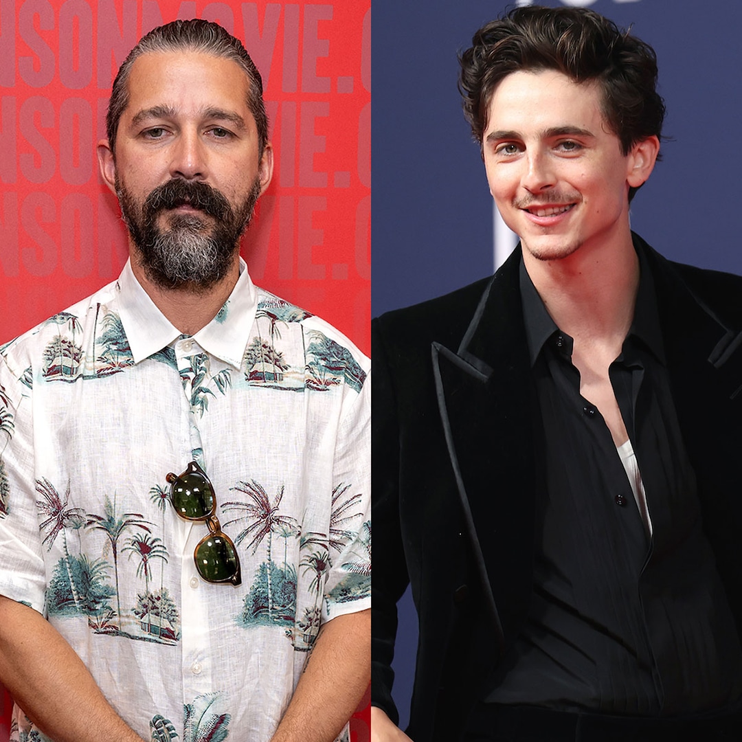 shia-labeouf-timothee-chalamet-feud