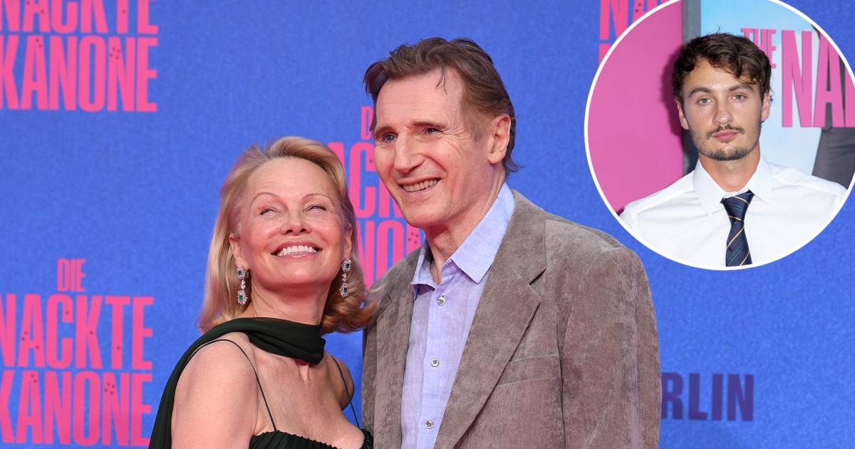 pamela-anderson-brandon-liam-neeson-chemistry