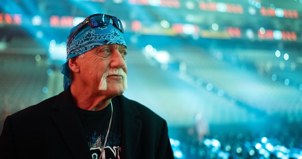 hulk-hogan-investigation