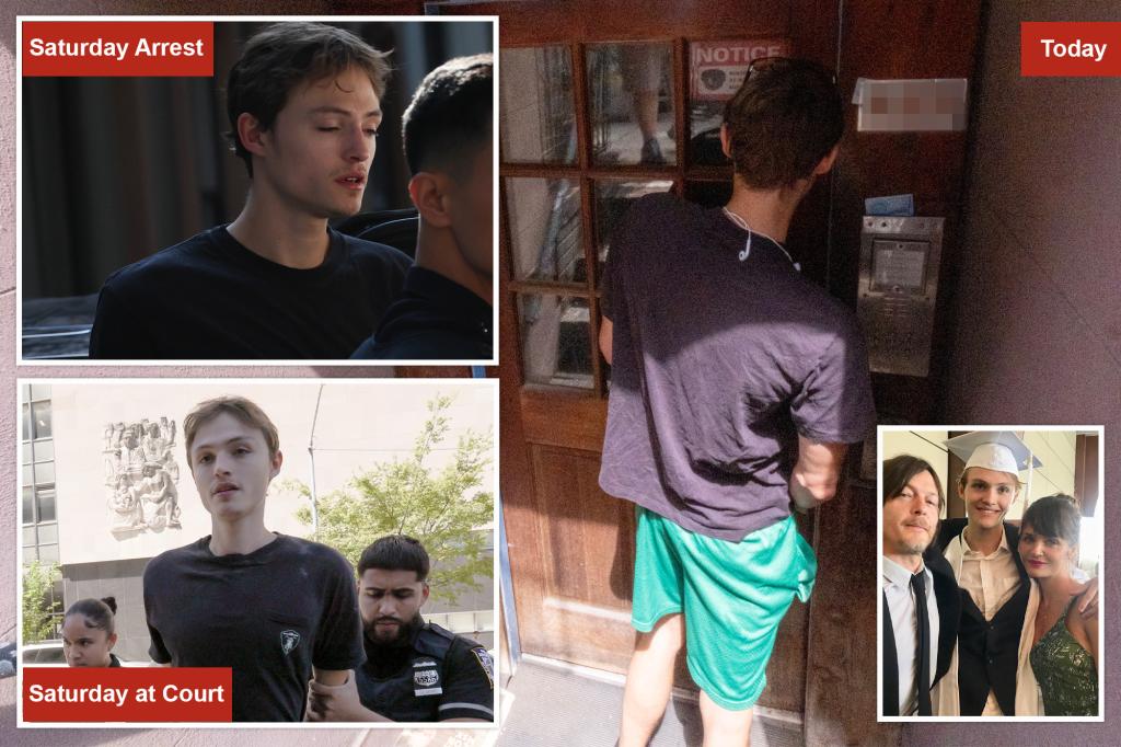 norman-reedus-son-arrest