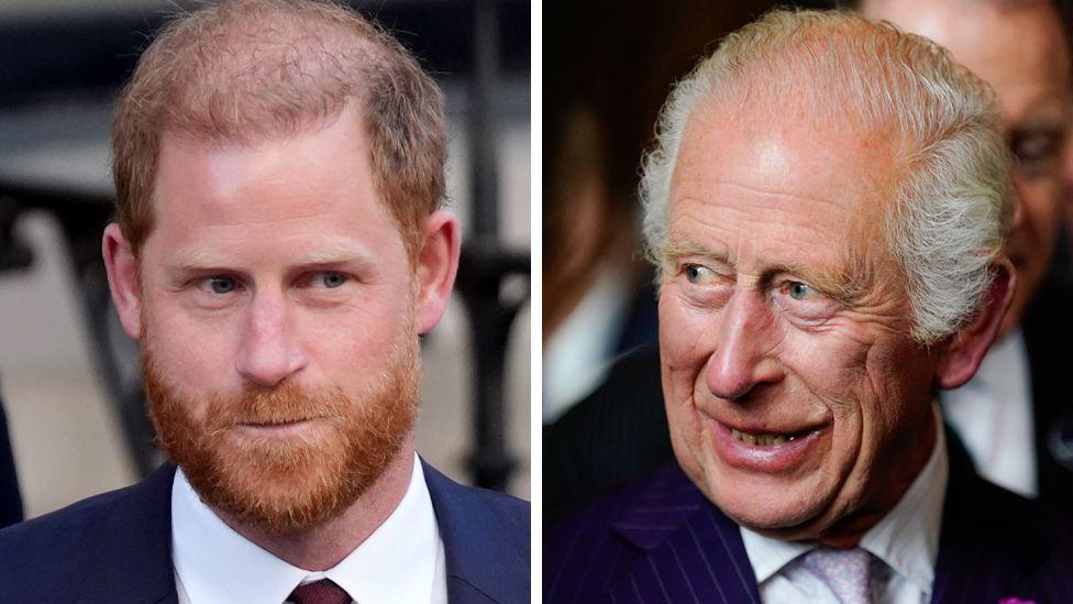 prince-harry-uk-visit-reunion